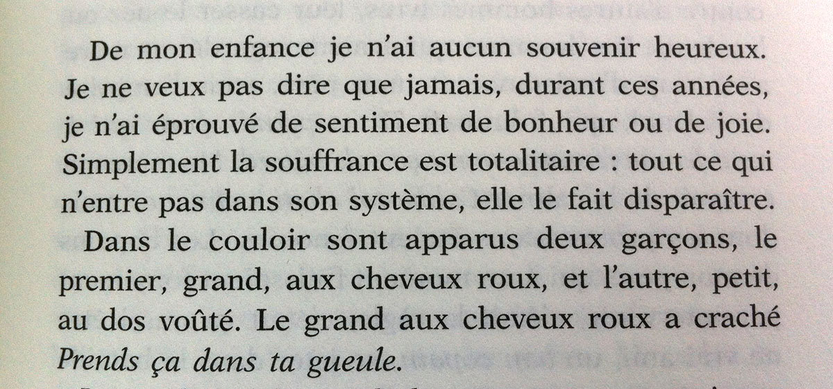 En finir avec Eddy Bellegueule – NoID