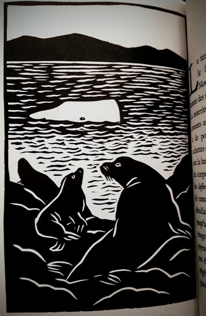 Histoire d’une baleine blanche NoID